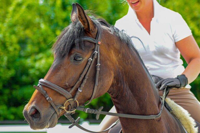 IPL and Its Impact on Indian Cricket History