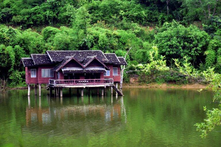 Sustainable Outdoor Cooking: Eco-Friendly Options for Grilling and Barbecuing