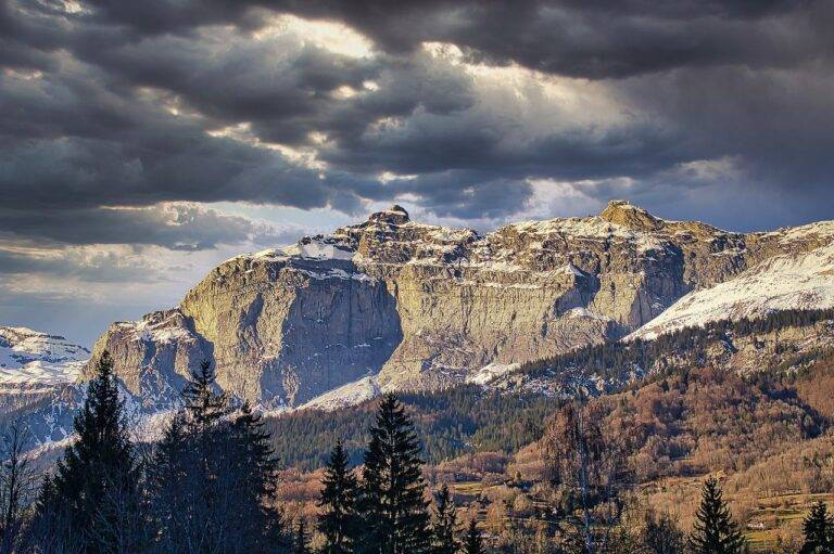 The Joy of Train Travel in Europe: Iconic Rail Journeys and Cultural Experiences